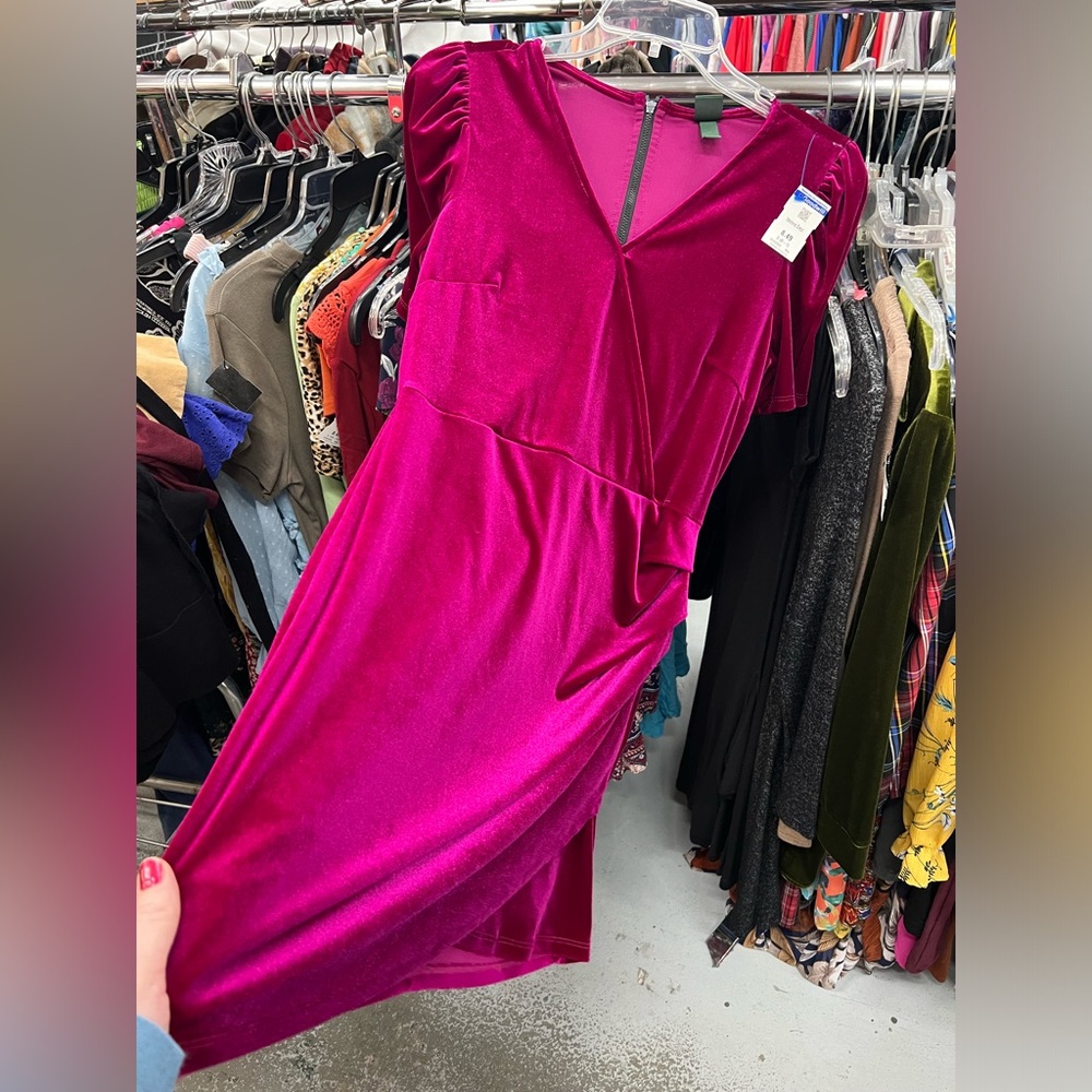 Wild Fable Pink Velvet Dress